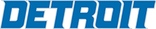 Lions Store